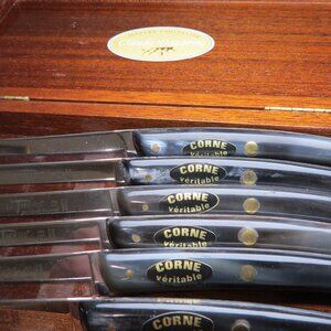 Rare pieces Laguiole steak knife by Claude Dozorme